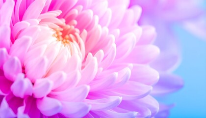 Vibrant close-up of a pink flower