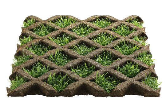 Eco friendly permeable grass paver grid with growing turf.