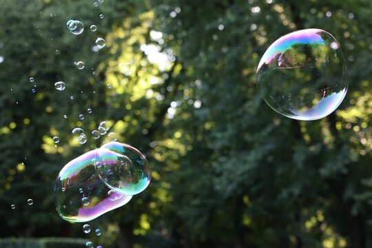 Beautiful transparent soap bubbles floating in park