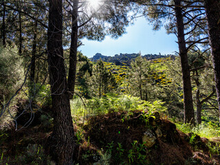 Obraz premium Garganta Eliza en primavera