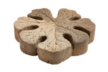 Decorative four leaf clover shaped concrete paving stone.