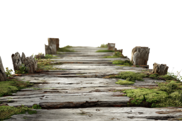 Ancient moss covered stone and wood steps leading upwards.