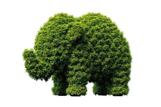 Green topiary elephant sculpture made from leaves.
