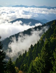 Misty mountain forest, ethereal view