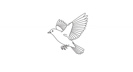 Fototapeta premium Bird in flight line art