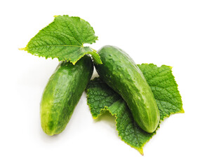 Two green cucumbers with leaves.
