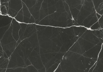 Closeup of a dark gray marble texture with white veins, showcasing its natural pattern