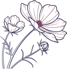 Clean minimalist cosmos flower line art illustration with botanical elements