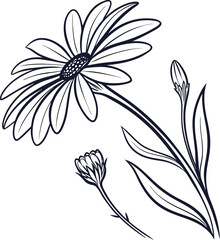 Simple clean black line art illustration of a daisy flower