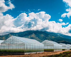 Obraz premium Modern greenhouses set against mountainous backdrop under a partly cloudy sky