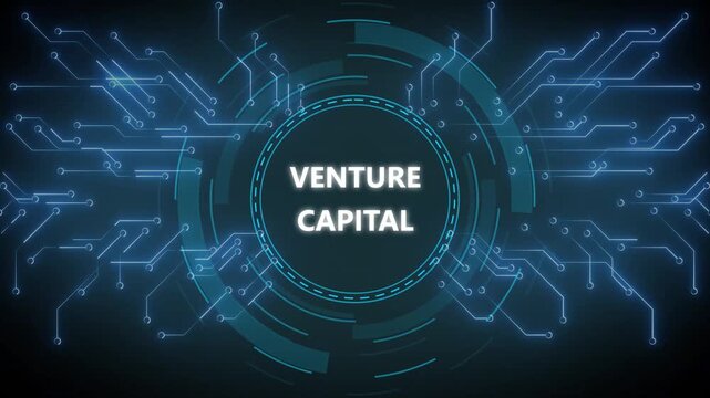 Animated blue circuitry reveals venture capital concept for financial growth. 4k video animation
