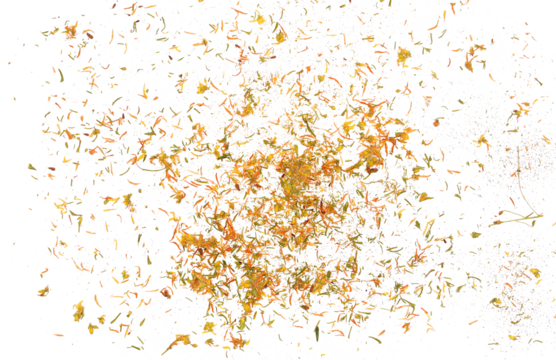 Dried Saint John's wort petals, seeds, leaves and flower flying (Hypericum perforatum) isolated on white background, clipping path