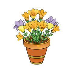 Elegant freesia flower arrangement in a ceramic pot on a white background