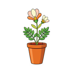 Simple freesia flower in a pot with detailed leaves on white background
