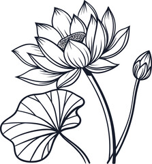 Minimalist lotus flower line drawing in clean style