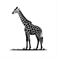 Naklejka premium Elegant Silhouette of an African Giraffe Standing Tall on Grassy Terrain Depicting a Stylized Vector Illustration for Nature and Wildlife Art Projects