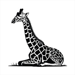 Fototapeta premium A Detailed Vector Illustration of a Giraffe Silhouette Sitting Gracefully on a Patch of Grass Showing Its Distinctive Pattern and Long Neck
