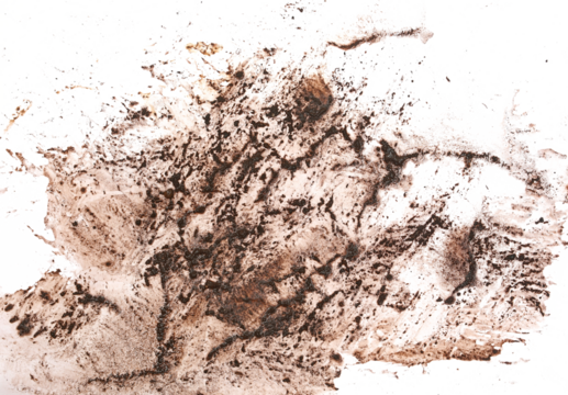 Wet mud, stains texture isolated on white, clipping path	