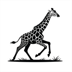 Elegant Giraffe Silhouette Vector Design Featuring Detailed Patterns and Graceful Movement Across Grassy Plains