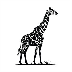 Naklejka premium Elegant Giraffe Silhouette Vector Illustration Featuring Intricate Patterns Standing Tall in Its Natural Habitat Grassland Scene