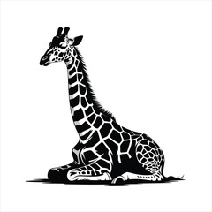 A Majestic Giraffe Silhouette Sitting Gracefully on a White Background a Vector Illustration Representing Wildlife and Nature