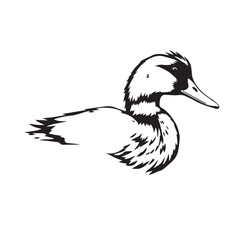 Duck head silhouette on white background. Black duck logo design. Duck icon.