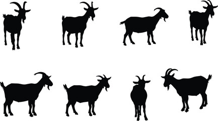 goat silhouette vector illustration, farm animal artwork, domestic livestock design, grazing goat shapes, countryside agriculture graphic