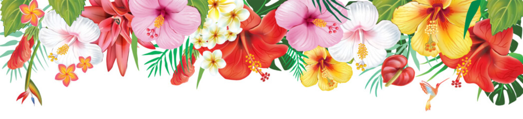 Tropical Hibiscus and Exotic Flowers Banner