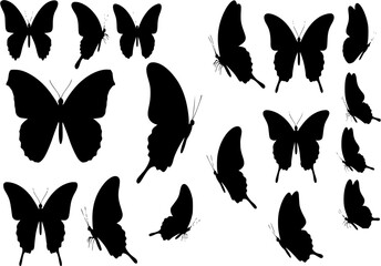 Set of butterflies, silhouettes and butterflies icons isolated on white background.
