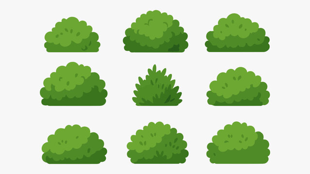 Green Bushes and Shrubs Vector Set for Landscape Background