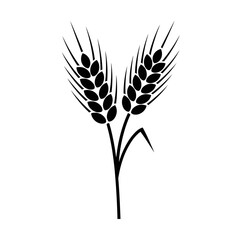 Vector art of two wheat stalks a simple representation of grain, agriculture, and the natural cycle of growth and harvest