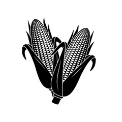 Vector art of two ears of corn on the cob, a staple crop, are depicted in a simple black and white vector illustration