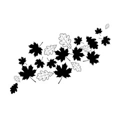 Vector art of a captivating array of maple and oak leaves gracefully arranged, , creating a harmonious blend of natures beauty