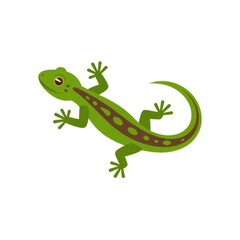Obraz premium Green Lizard Illustration on White Background