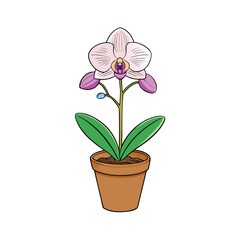Elegant blooming orchid in a pot on a clean white background vector illustration