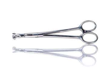 Two pairs of metallic surgical or dental forceps.  One pair is slightly larger than the other.  Both pairs have serrated or grooved jaws