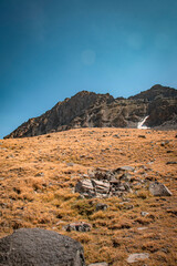 landscape of the desert