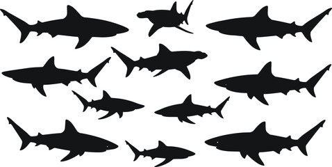 Shark silhouette vector set, ocean predator illustration, great white shark graphic design, underwater marine animals clipart, sea wildlife artwork