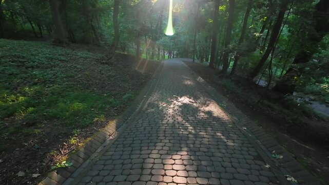 Park path made of stone paving stones in the rays of the sun in a summer park.