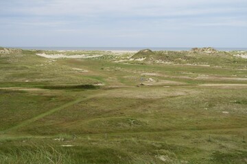 Fototapeta premium Von der Möwendüne auf der ostfriesischen Nordseeinsel Norderney ist eine hügelige Dünenlandschaft mit Weißdünen in Richtung des Strands zu sehen. Im Hintergrund ist die Nordsee zu sehen.