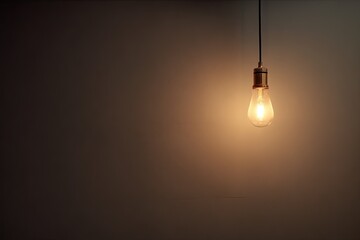 A single, glowing filament bulb hangs against a muted backdrop