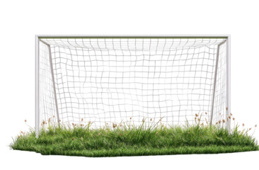 Empty soccer goal on a grassy field