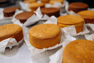 Freshly baked sponge cake layers cooling on parchment paper in a professional bakery kitchen