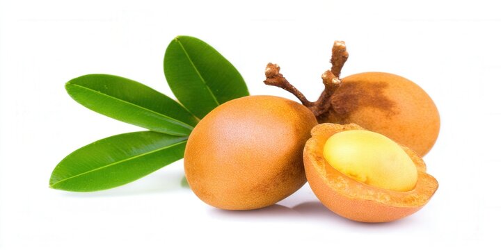 Close up of fresh sapodilla fruit with green leaves on a white background.