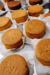 Freshly baked sponge cake layers cooling on parchment paper in a professional bakery kitchen
