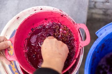 Crushed grapes are pressed through a sieve to make wine