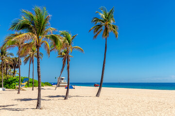 Sunny tropical white sand beach with palm trees and turquoise sea. 