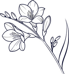 Elegant minimalist freesia flower line art illustration for design projects