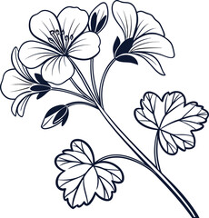 Obraz premium Simple minimal black outline geranium flower line art design