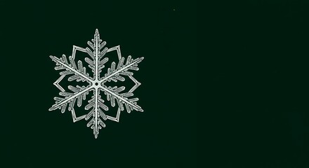 Detailed snowflake design